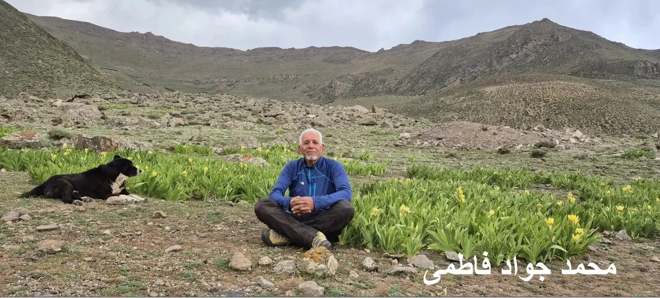 یک روز واقعی